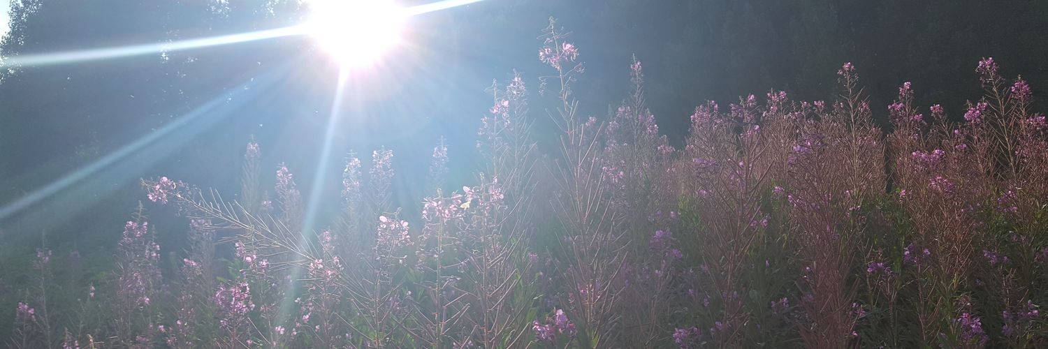 KrystalLinder's profile banner image