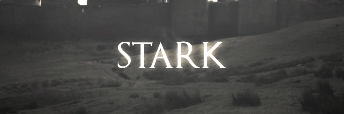 𝚁𝙾𝙱𝙱 𝚂𝚃𝙰𝚁𝙺 ( 𝙱𝙾𝙳𝚈𝙶𝚄𝙰𝚁𝙳 ). ‍ banner