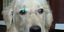 UnTweetDeChiste's profile banner image