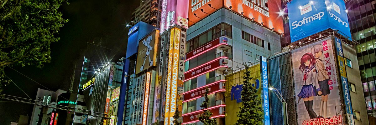 そにどり🌗🌗 banner