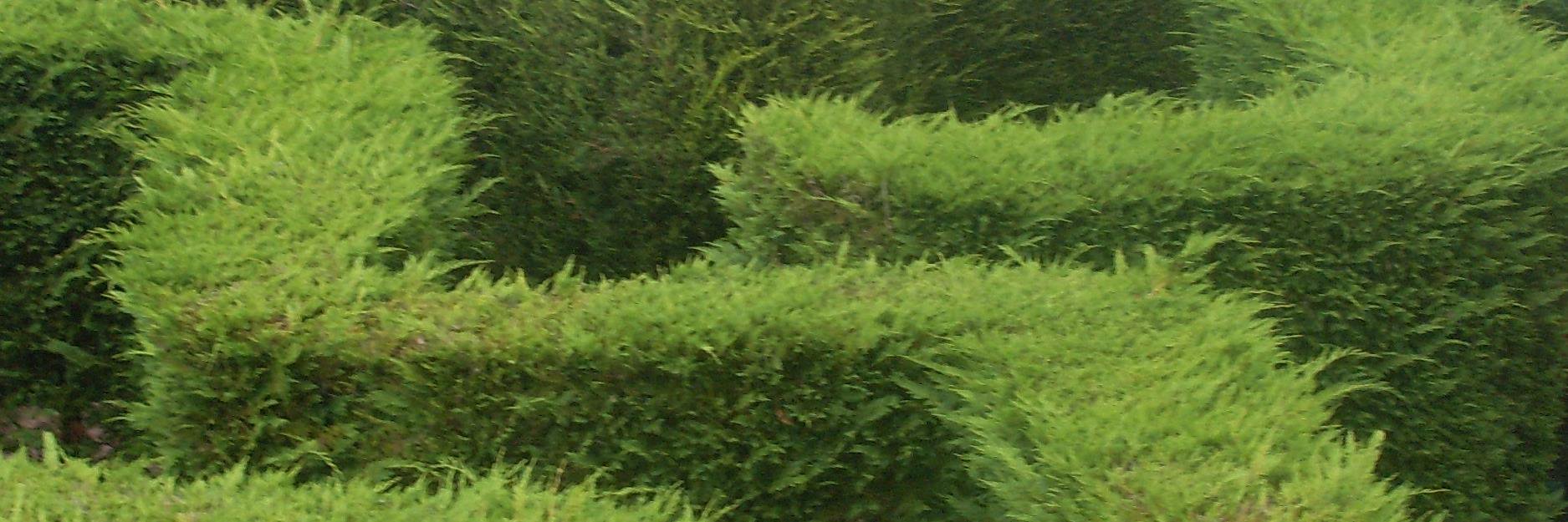 Christinaoj's profile banner image