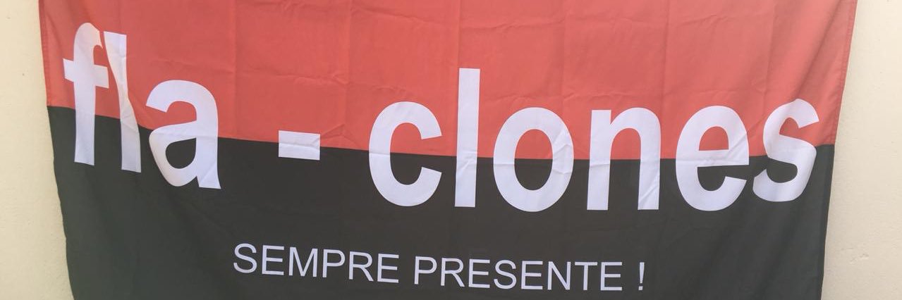 FlaClones's profile banner image