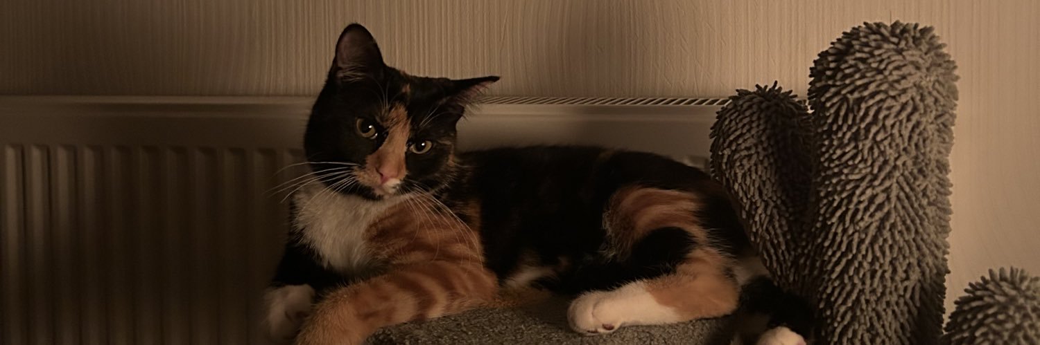 ohitschlo_x's profile banner image