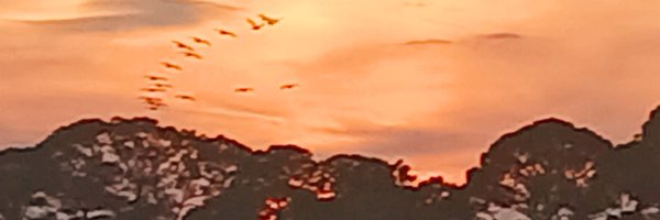 Indigoval86 Profile Banner