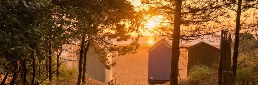 Rachybobbles's profile banner image