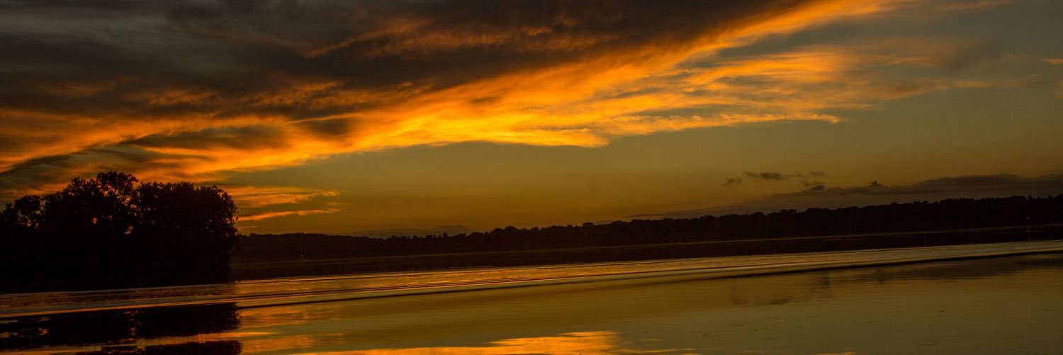 Brad Lorrigan banner