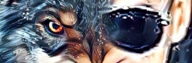 Brandon Wolfe banner