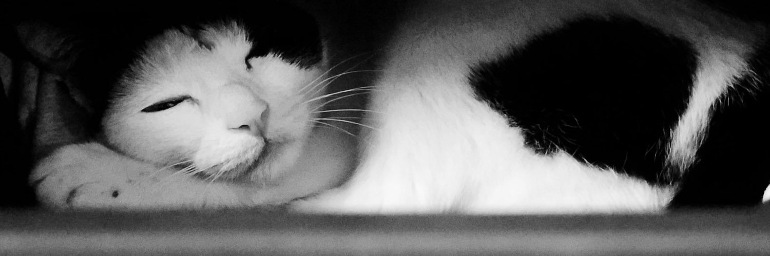 erfanjoss's profile banner image