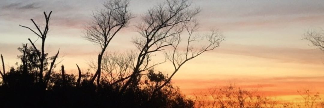 s_jennis's profile banner image