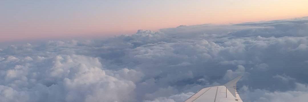 y3443o's profile banner image
