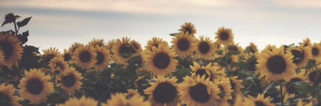 emiigrace3's profile banner image