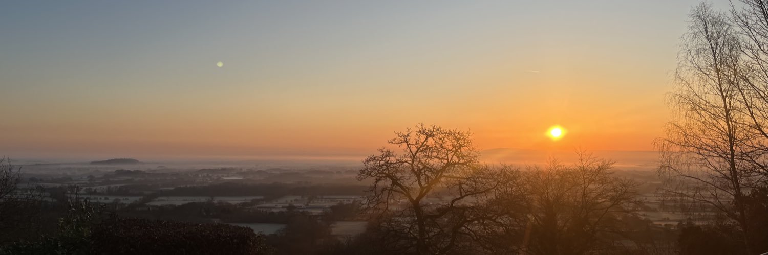 Sophie Stokes banner