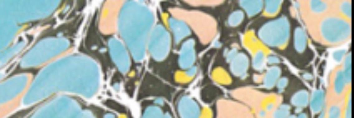 Nilbogwill's profile banner image