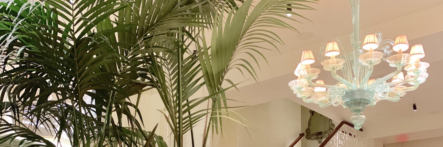 MargoSlade's profile banner image