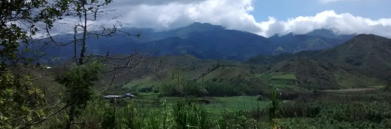 Albert M. Kasprzyk banner