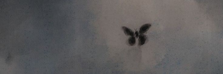 cosmicturtle23's profile banner image