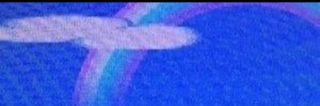 Ray *LANA IS COMING* banner