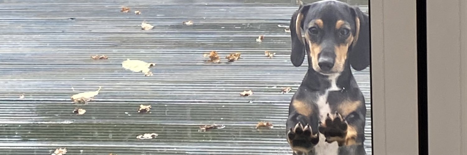 carrie banner