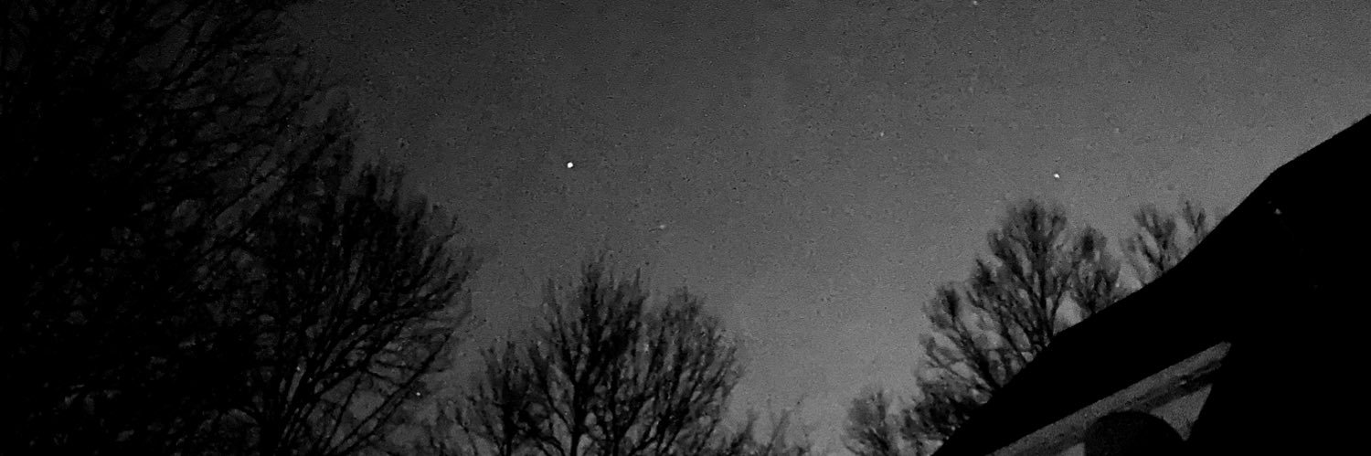 vinny 🍁 | raaawr banner