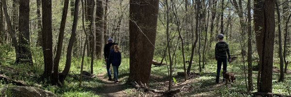 AndreaHand2 Profile Banner