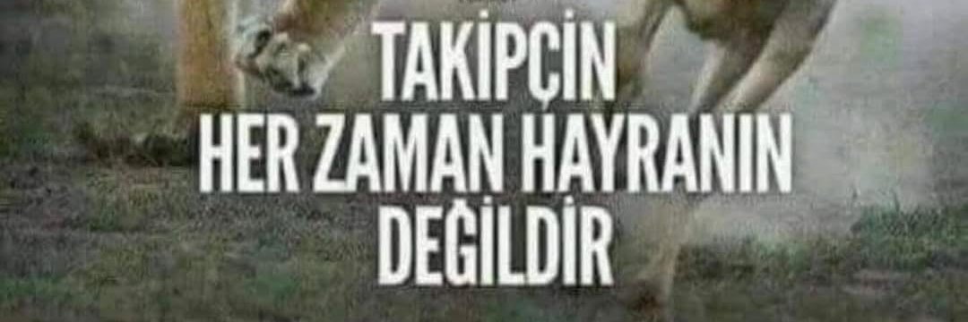 umutlu92's profile banner image