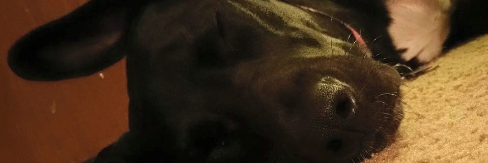 GWMcelfresh's profile banner image