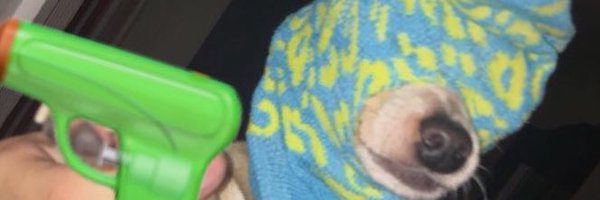 NSV_99 Profile Banner