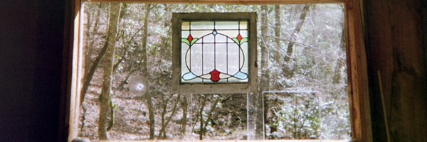 celestetadpole Profile Banner