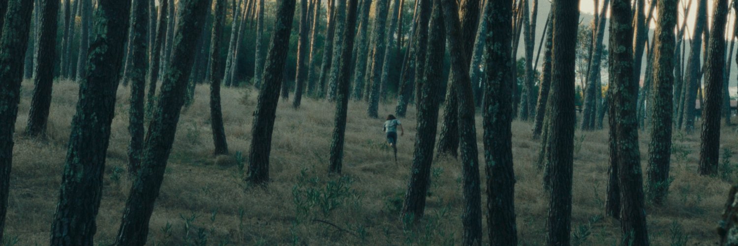 O Simples Mente banner