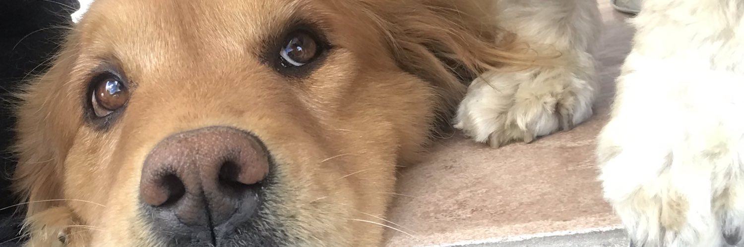 camiparedes44's profile banner image