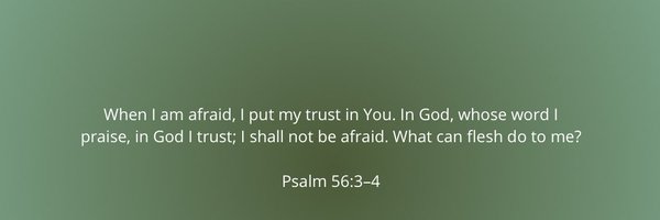 ada_lluch Profile Banner