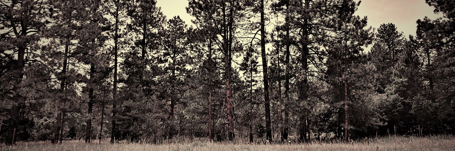 Bel_Shauri's profile banner image