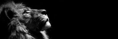 MichalRadomski's profile banner image