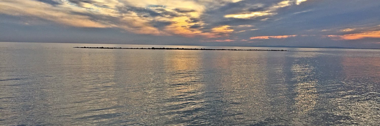 mishaagard's profile banner image