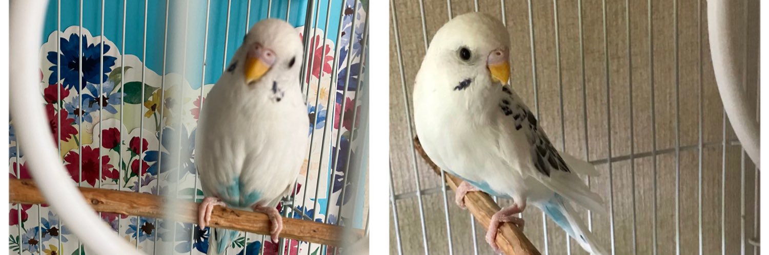 みとママ【LN ハンドメイドライバー】 banner