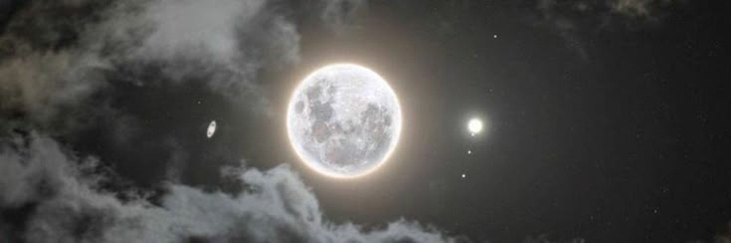 lara. banner