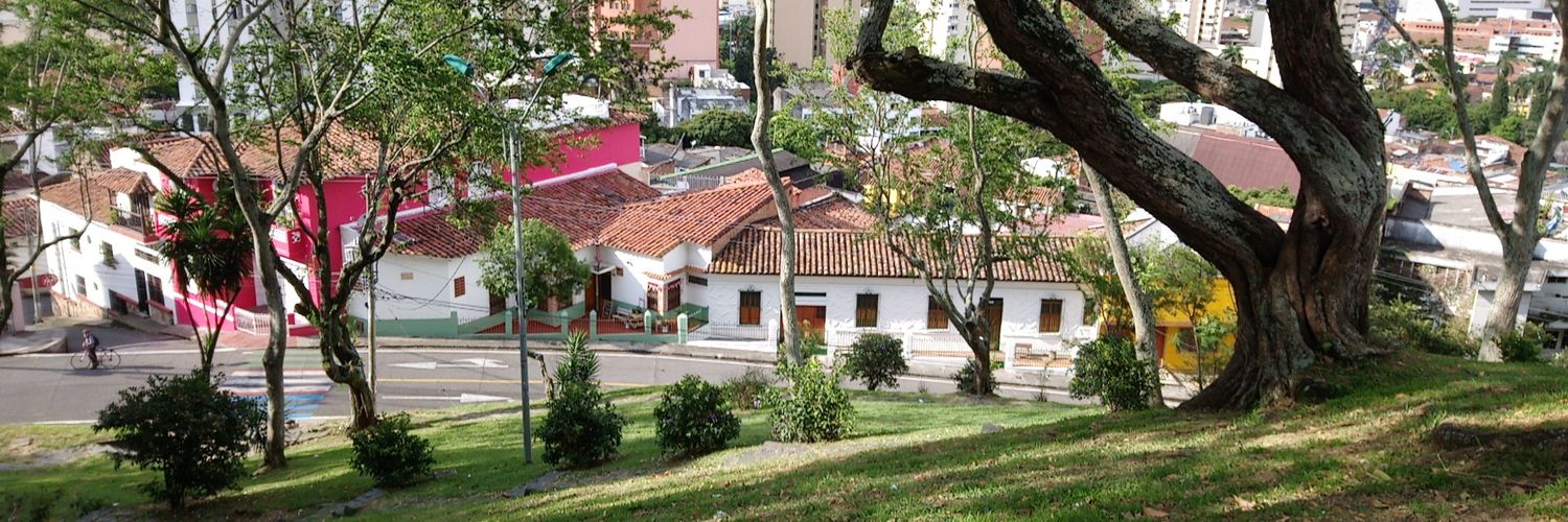 PATRICIA COLLAZOS C. banner