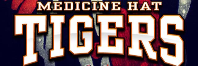 medhattigers's profile banner image