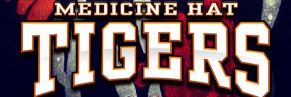 medhattigers Profile Banner