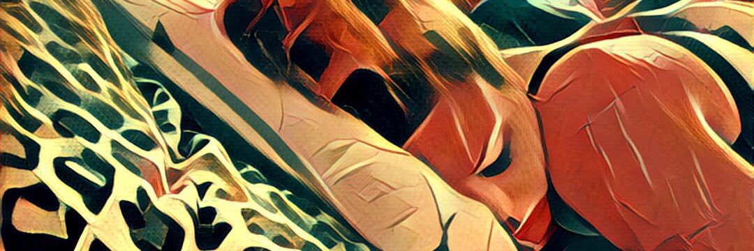 ur_highness's profile banner image