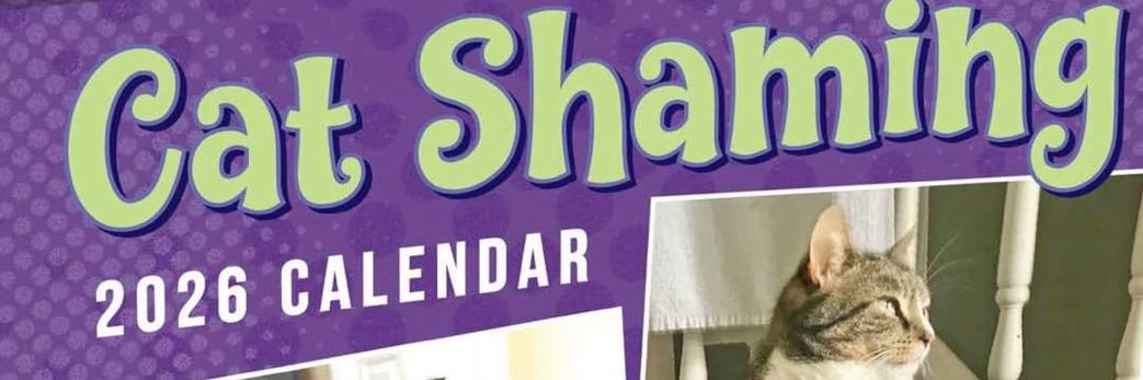 Cat_Shaming's profile banner image