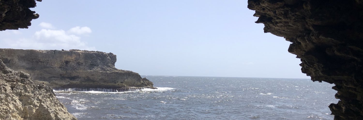 Alejandra Higueros banner