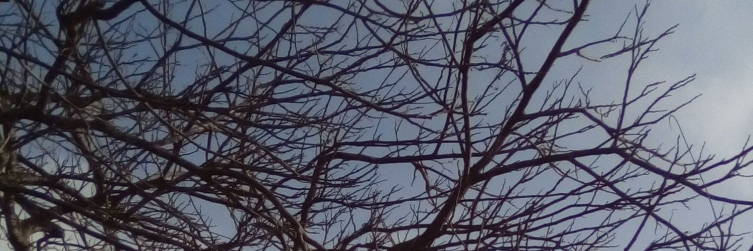 miqusa_'s profile banner image
