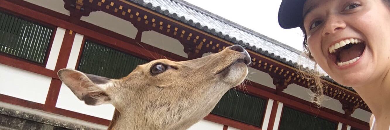 vanderstar022's profile banner image