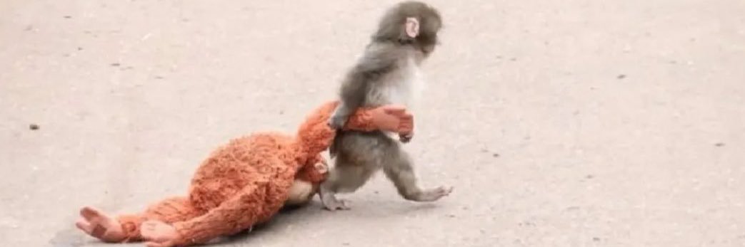 AZ banner