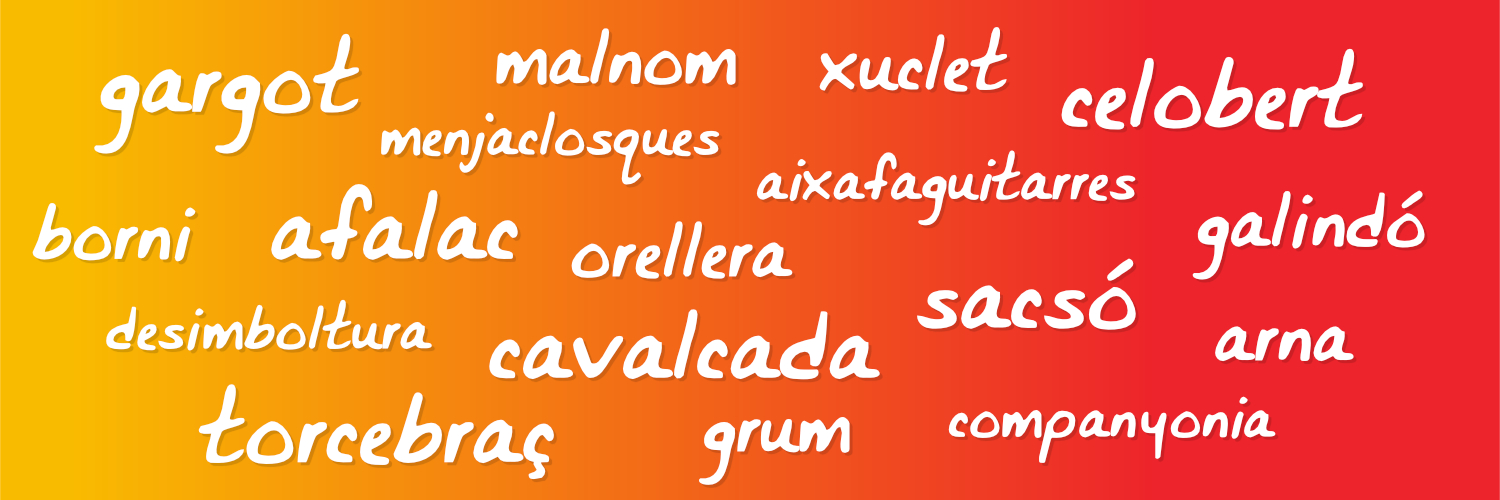 Català Correcte! banner