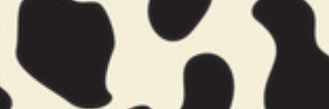 sifanurf's profile banner image