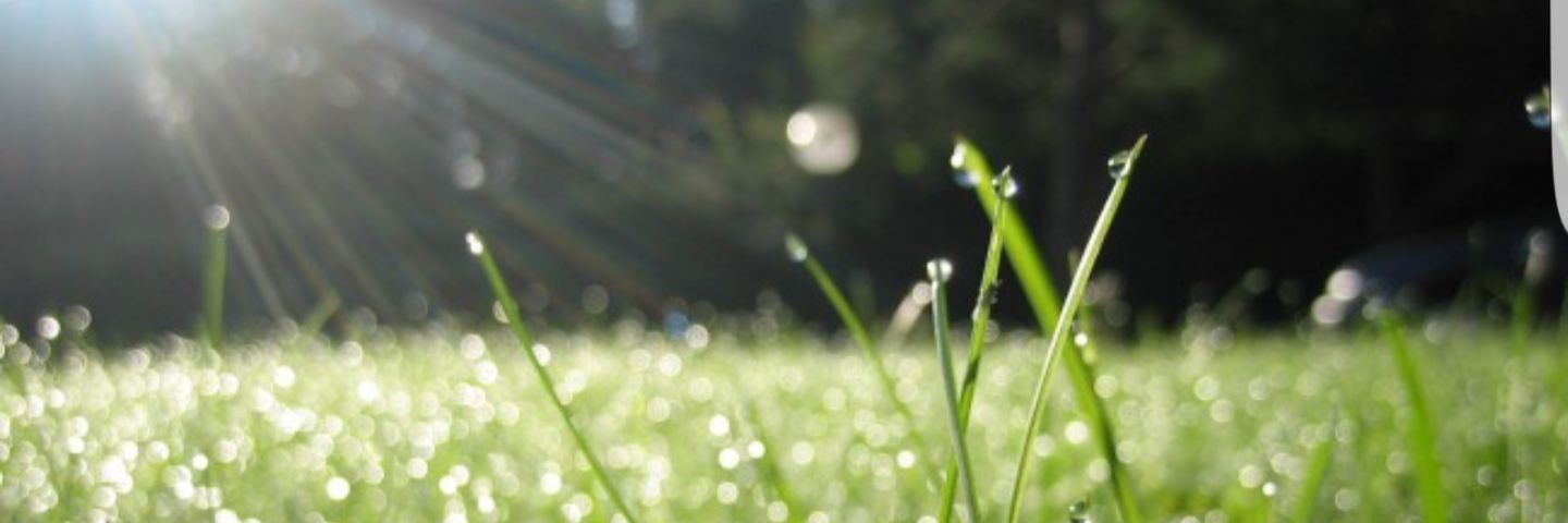 ABCDEFGH88781's profile banner image