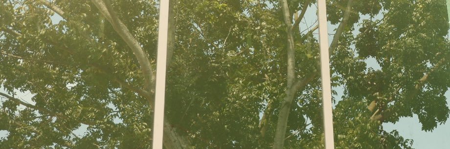 A banner