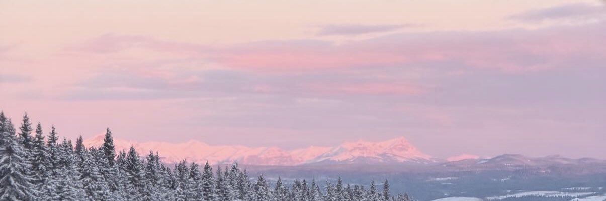 hydrangeaasl's profile banner image